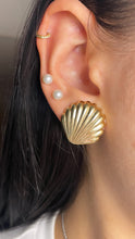 Load image into Gallery viewer, Jumbo Sea Shell Studs
