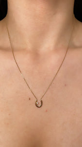 Lucky Horseshoe Diamond Necklace