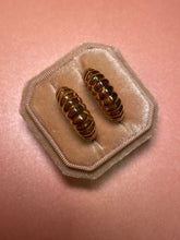 Load image into Gallery viewer, Chubby Shrimp Hoops
