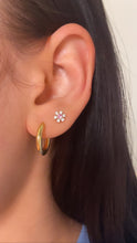 Load image into Gallery viewer, Oval Chubby Hoops
