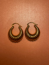Load image into Gallery viewer, Chubby Shrimp Hoops
