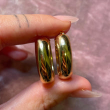 Load image into Gallery viewer, Chubby Oval Hoops
